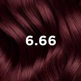 Phyto Hair Color 6.66  Castano Rosso Intenso Ciliegia