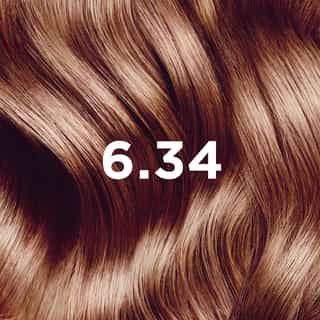Phyto Hair Color 6.34 Biondo Scuro Ramato Intenso
