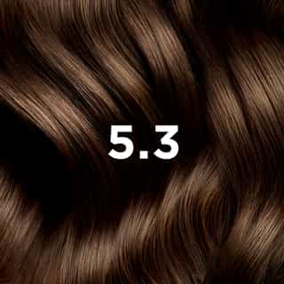 Phyto Hair Color 5.3 Castano Chiaro Dorato