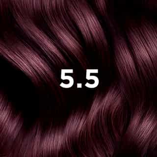 Phyto Hair Color 5.5 Castano Chiaro Mogano