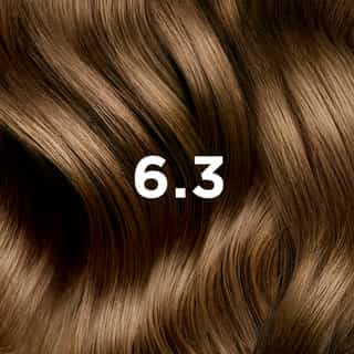 Phyto Hair Color 6.3 Biondo Scuro Dorato