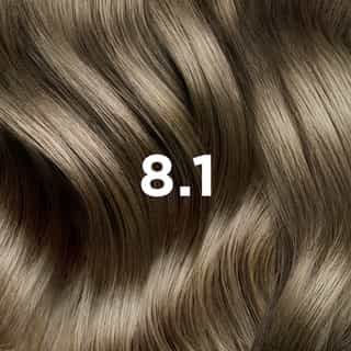 Phyto Hair Color 8.1 Biondo Chiaro Cenere