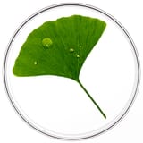 Phytocyane TRATTAMENTO ANTICADUTA DONNA