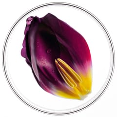 Phytocyane TRATTAMENTO ANTICADUTA DONNA