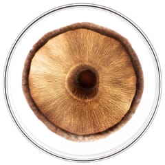 Phytocyane TRATTAMENTO ANTICADUTA UOMO
