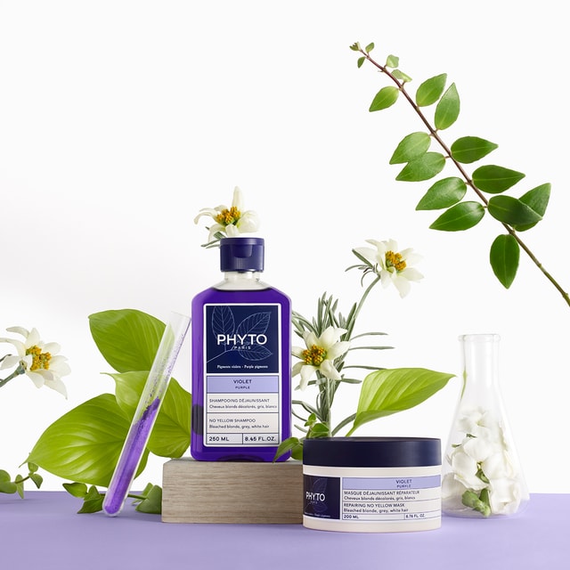 LA ROUTINE COMPLETA VIOLET