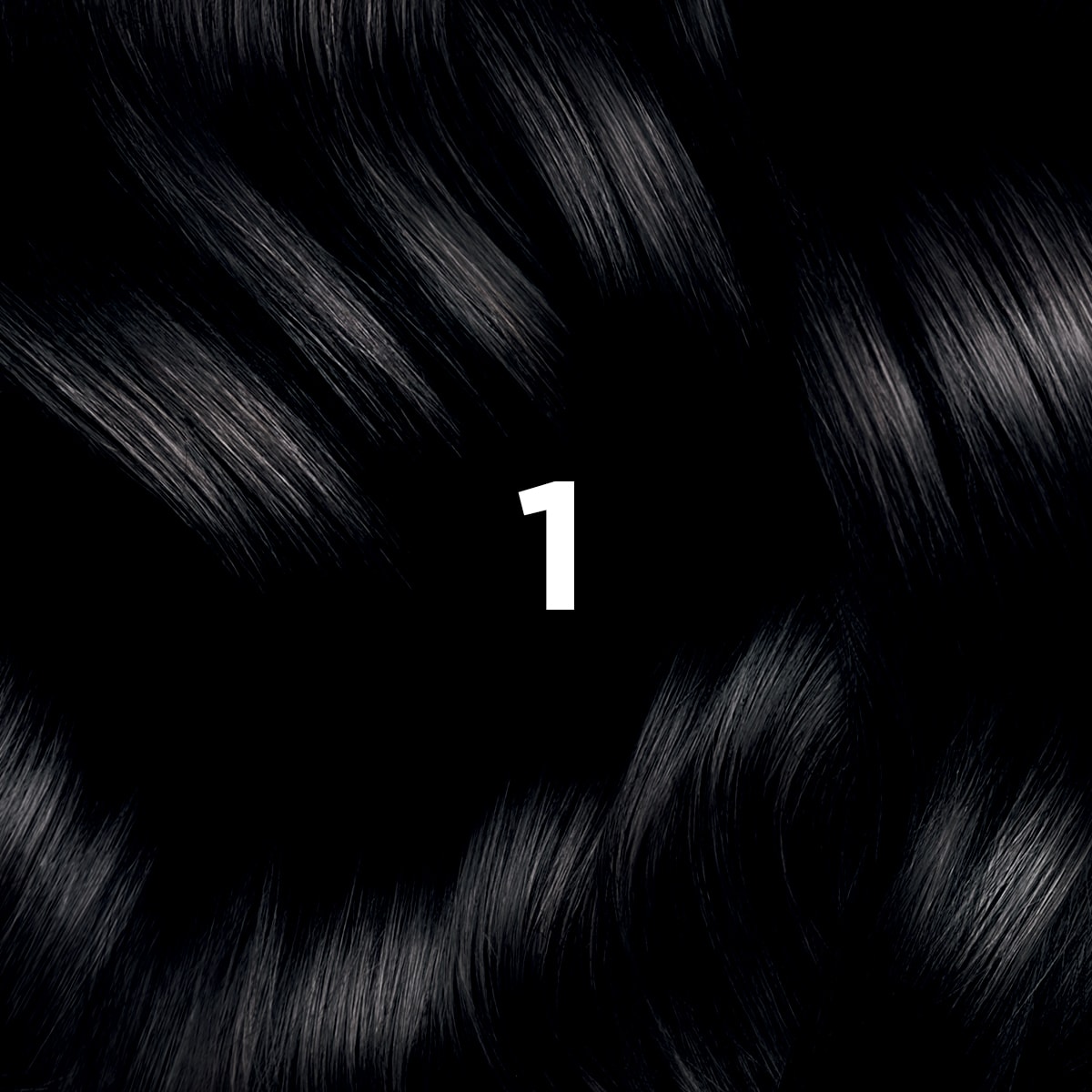 Phyto Hair Color 1 Nero
