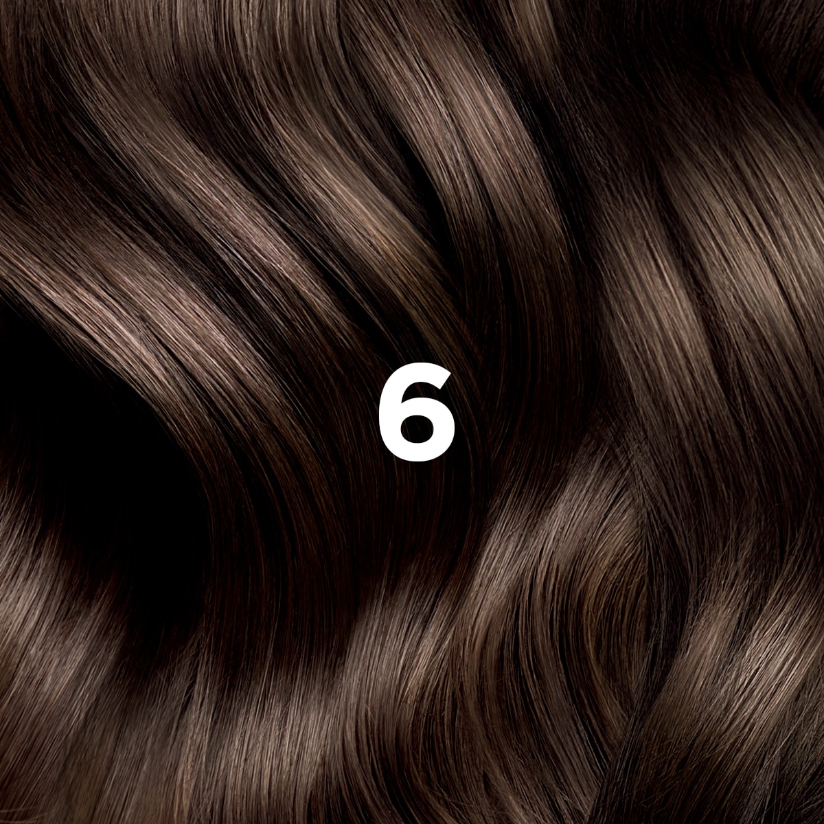 Phyto Hair Color 6 Biondo Scuro