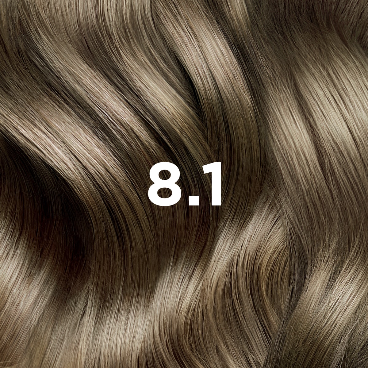 Phyto Hair Color 8.1 Biondo Chiaro Cenere