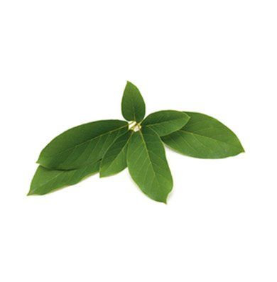 Olio di Baobab