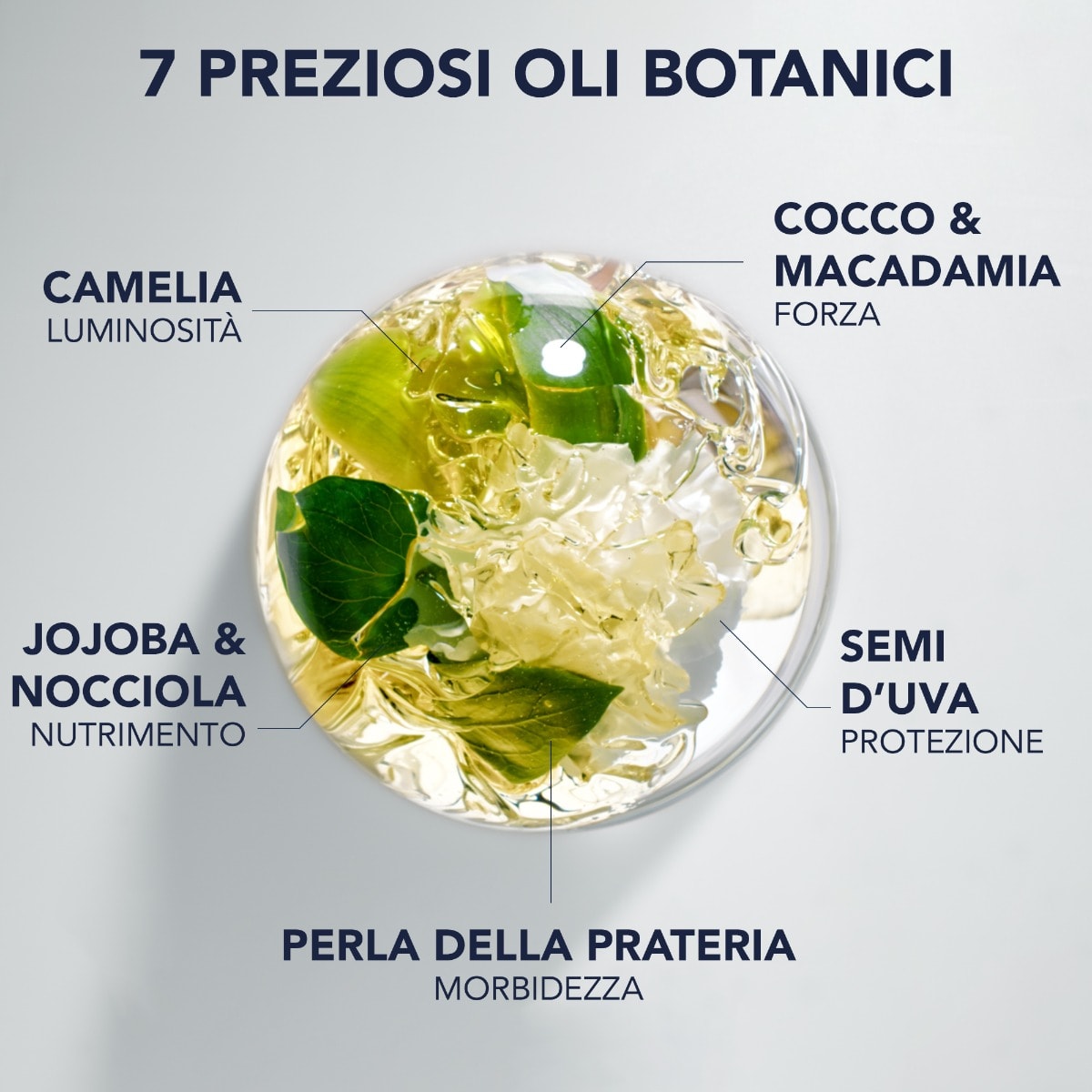 Phyto 7 Elixir Olio Sublimante Universale
