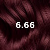 Phyto Hair Color 6.66 Castano Rosso Intenso Ciliegia