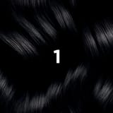 Phyto Hair Color 1 Nero
