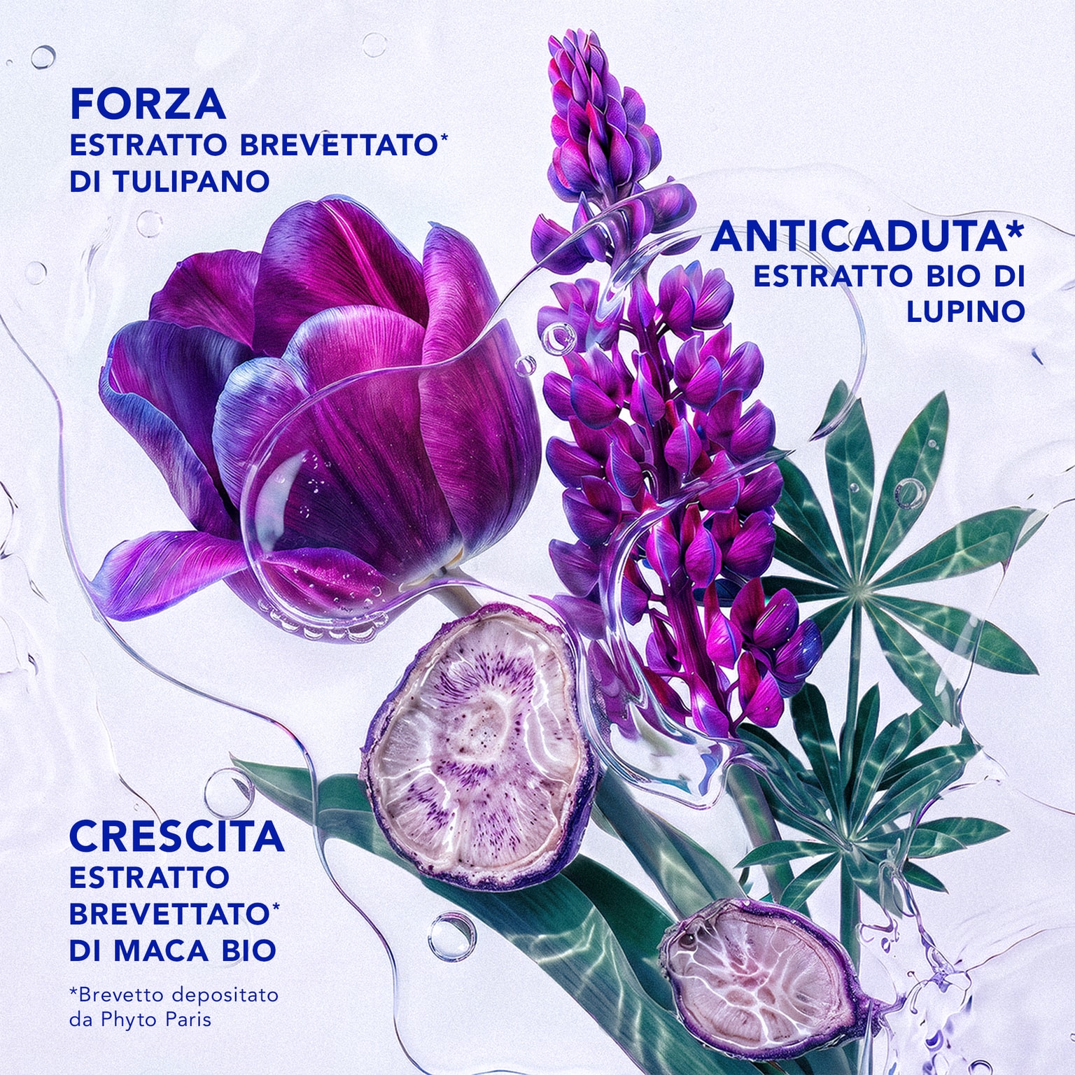 Phytocyane Intensive+ Trattamento Anticaduta Progressiva DONNA