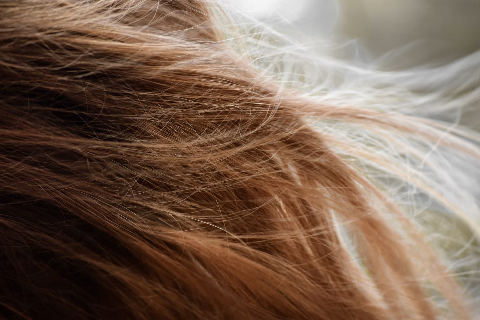 Capelli danneggiati dall'estate: la routine riparazione per ricostruire la fibra prima dell'autunno
