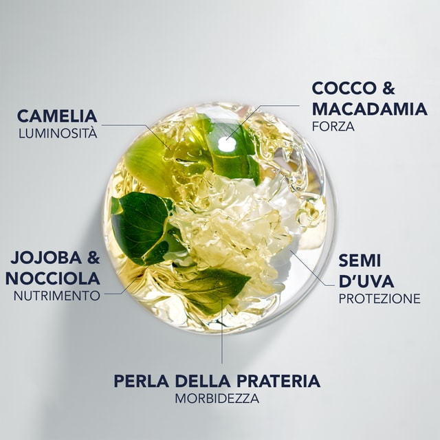 7 PREZIOSI OLI BOTANICI